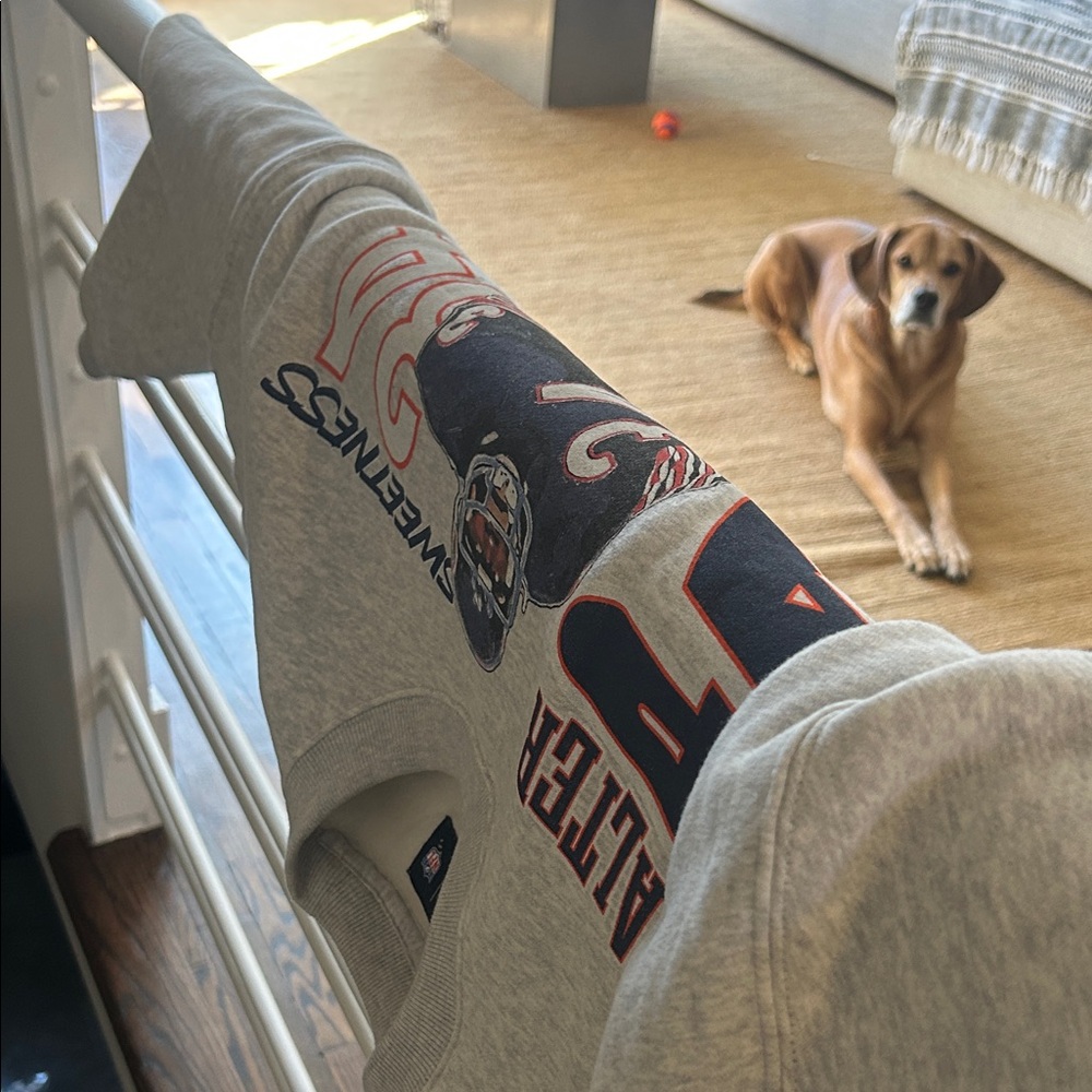 Gray NFL Team Sweatshirt